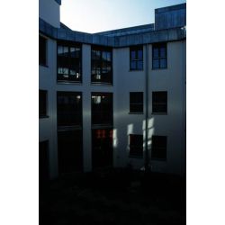10600798