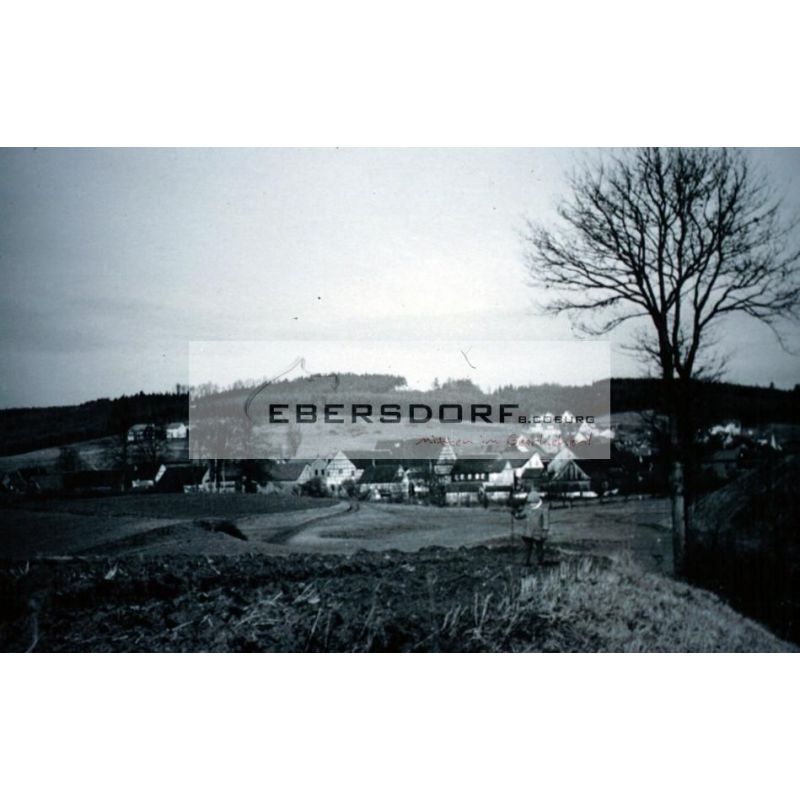 20103888